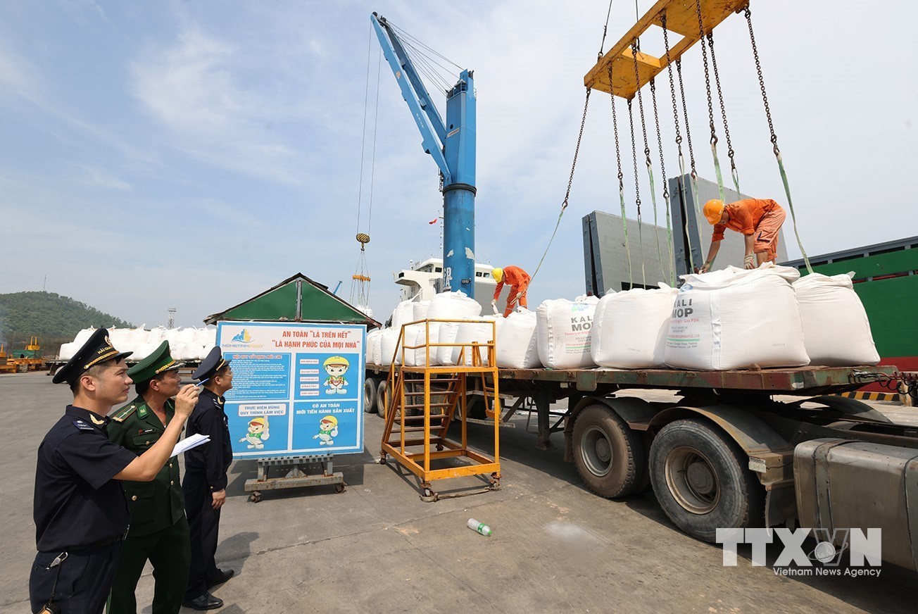 Lực lượng Hải quan phối hợp với các lực lượng giám sát đối với hàng hoá xuất khẩu tại Cảng Cửa Lò, tỉnh Nghệ An. (Ảnh: Vũ Sinh/TTXVN)